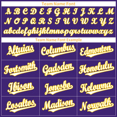 Custom Purple Full Button Up Mesh Fans Special Edition Authentic Baseball Jersey