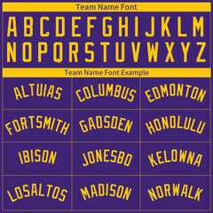 Custom Purple Pinstripe Mesh Fans Special Edition Authentic Baseball Jersey