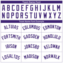 Custom Purple Pinstripe Full Button Down Mesh Fans Special Edition Authentic Baseball Jersey