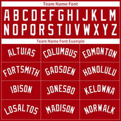 Custom Red Pinstripe Mesh Fans Special Edition Authentic Baseball Jersey