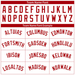 Custom Red Pinstripe Full Button Down Mesh Fans Special Edition Authentic Baseball Jersey