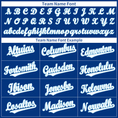 Custom Royal Full Button Up Mesh Fans Special Edition Authentic Baseball Jersey