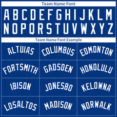 Custom Royal Pinstripe Mesh Fans Special Edition Authentic Baseball Jersey