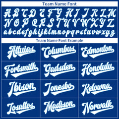 Custom Royal Full Button Down Mesh Fans Special Edition Authentic Baseball Jersey