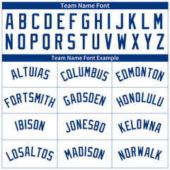 Custom Royal Pinstripe Full Button Down Mesh Fans Special Edition Authentic Baseball Jersey