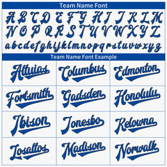 Custom Royal Pinstripe Two Tone Authentic Vintage Baseball Jersey