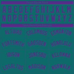 Custom Pinstripe Teal Full Button Down Mesh Fans Special Edition Authentic Baseball Jersey