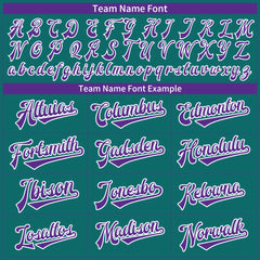 Custom Teal Full Button Down Mesh Fans Special Edition Authentic Baseball Jersey