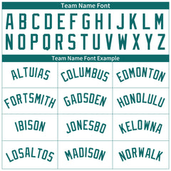 Custom Teal Pinstripe Full Button Down Mesh Fans Special Edition Authentic Baseball Jersey