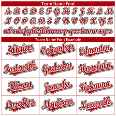 Custom White Full Button Up Mesh Fans Special Edition Authentic Baseball Jersey