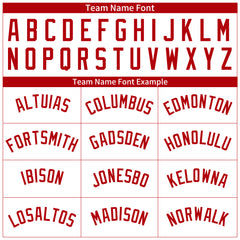 Custom White Pinstripe Mesh Fans Special Edition Authentic Baseball Jersey