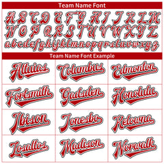 Custom White Full Button Down Mesh Fans Special Edition Authentic Baseball Jersey