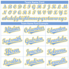 Custom White Full Button Up Mesh Fans Special Edition Authentic Baseball Jersey