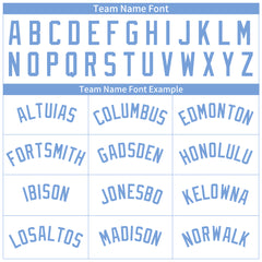 Custom Pinstripe WhiteFull Button Down Mesh Fans Special Edition Authentic Baseball Jersey