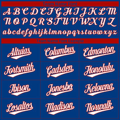 Custom Blue Baseball Jersey Authentic Button Down Vintage Game Training Shirt