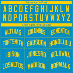 Custom Panther Blue Mesh Basketball Uniform For Adult Youth Fans Jersey